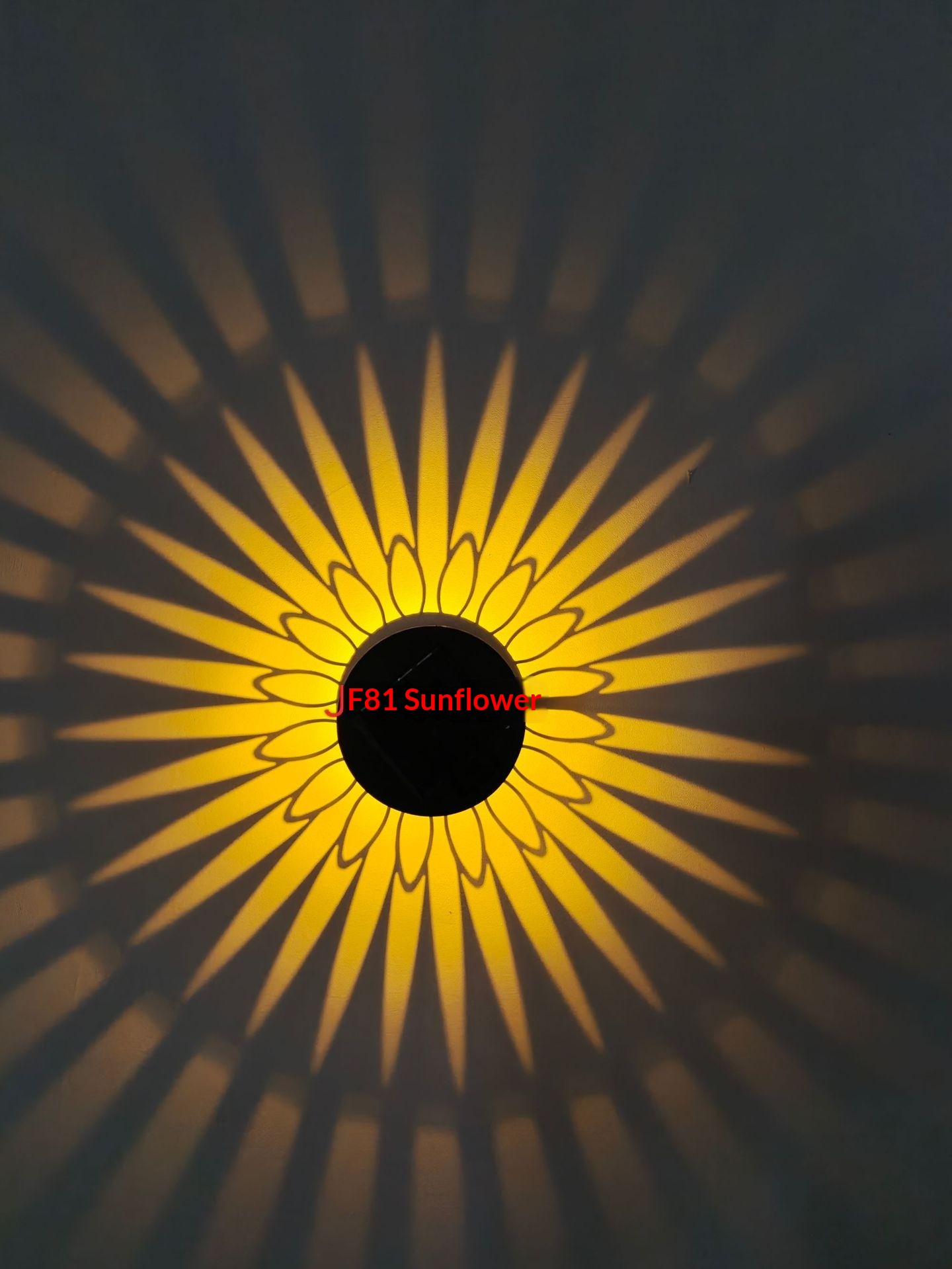 SolarBeam Outdoor Wall Projector Light - Image 5